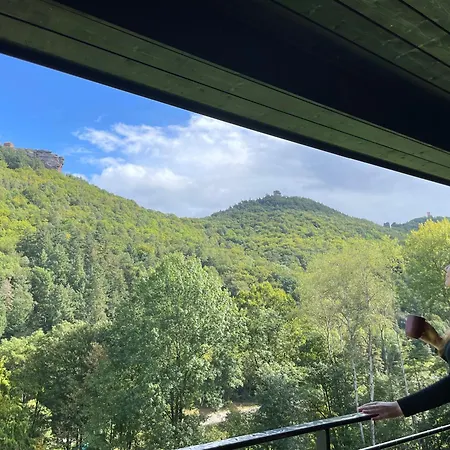 Дом отдыха Bergchalet Auf Stelzen Аннвайлер-ам-Трифельс